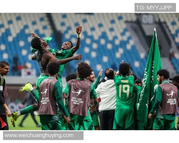 沙特足球明星数量揭秘及其在国际赛场上的影响力分析